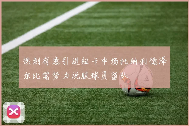 热刺有意引进纽卡中场托纳利德泽尔比需努力说服球员留队